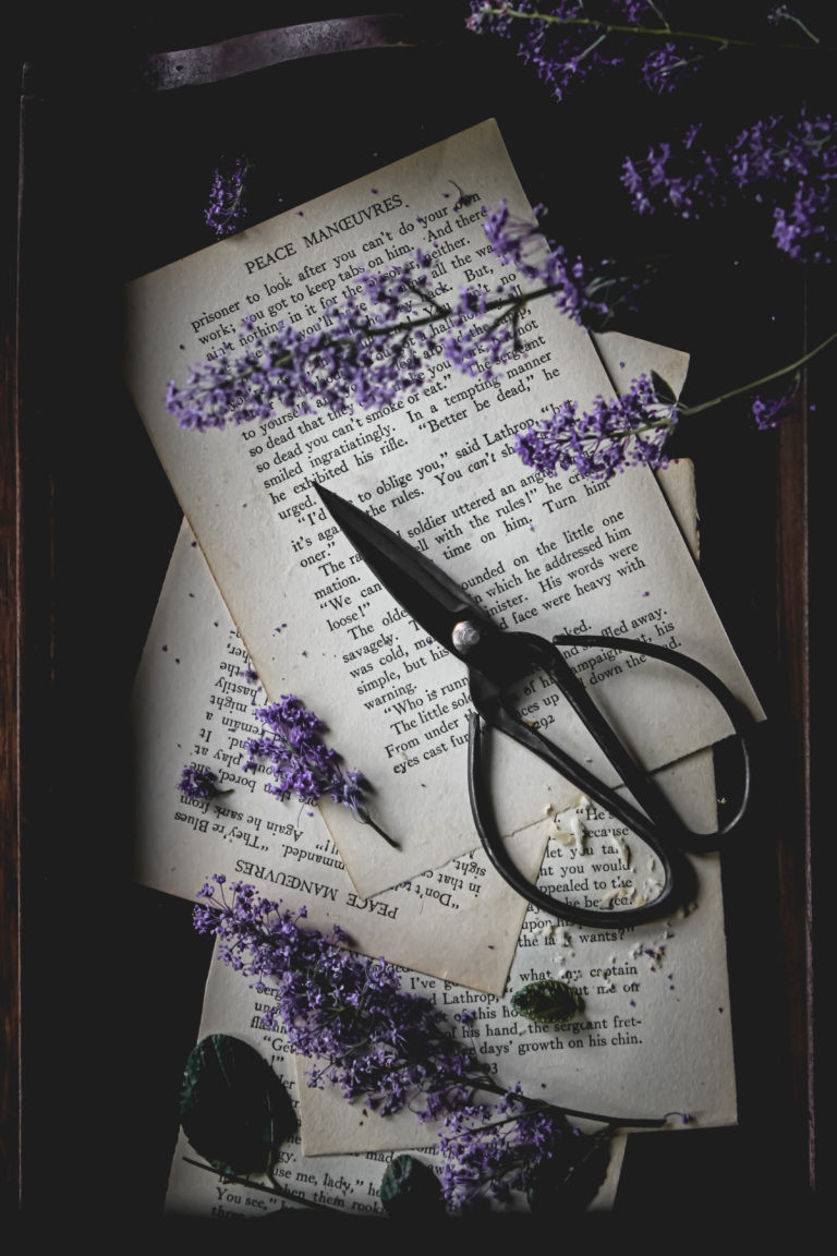 Spring: A delightful season